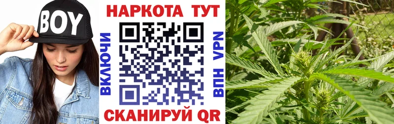 Купить закладку Alpha-PVP  КОКАИН  Меф мяу мяу  Конопля  Янаул